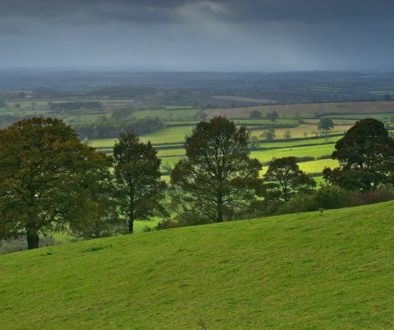 Building a long-term vision for the countryside – what can we take from #Rural2040?