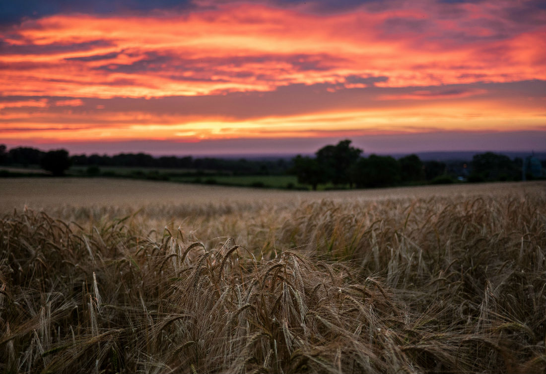 Do rural communities face a ‘justice desert’?