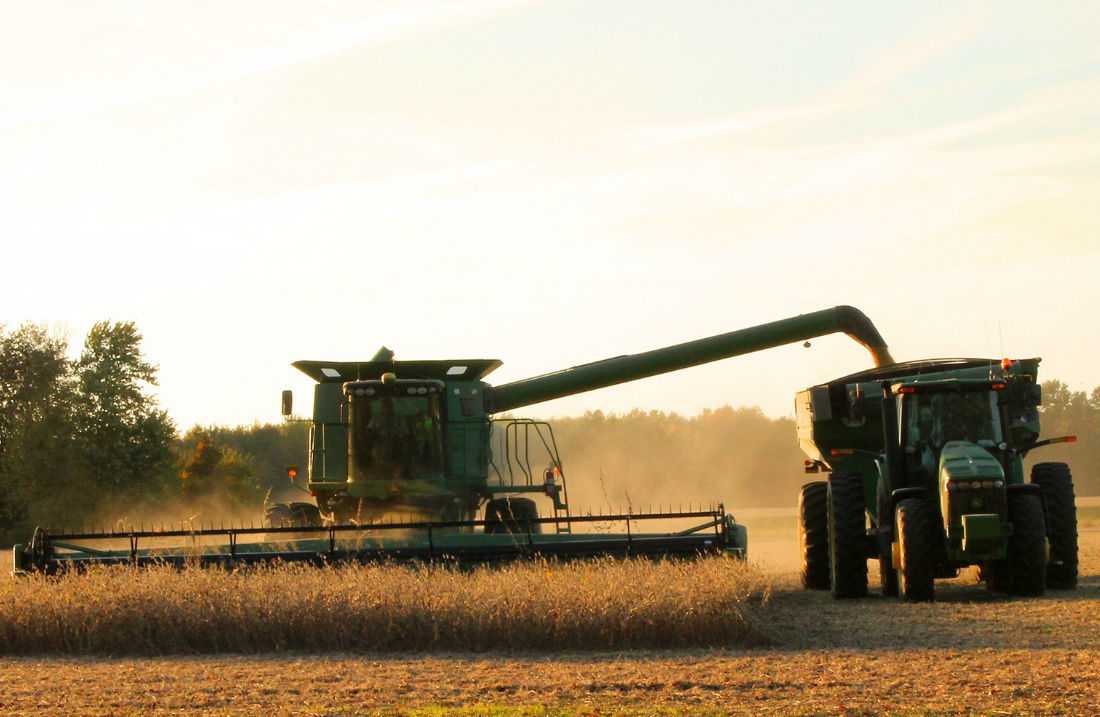 Agricultural Innovation