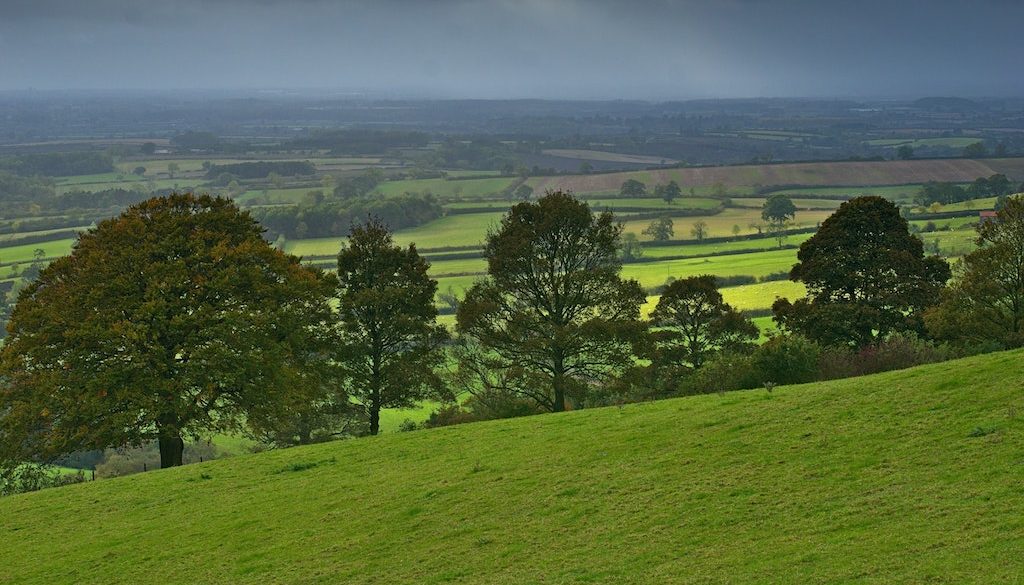 Building a long-term vision for the countryside – what can we take from #Rural2040?