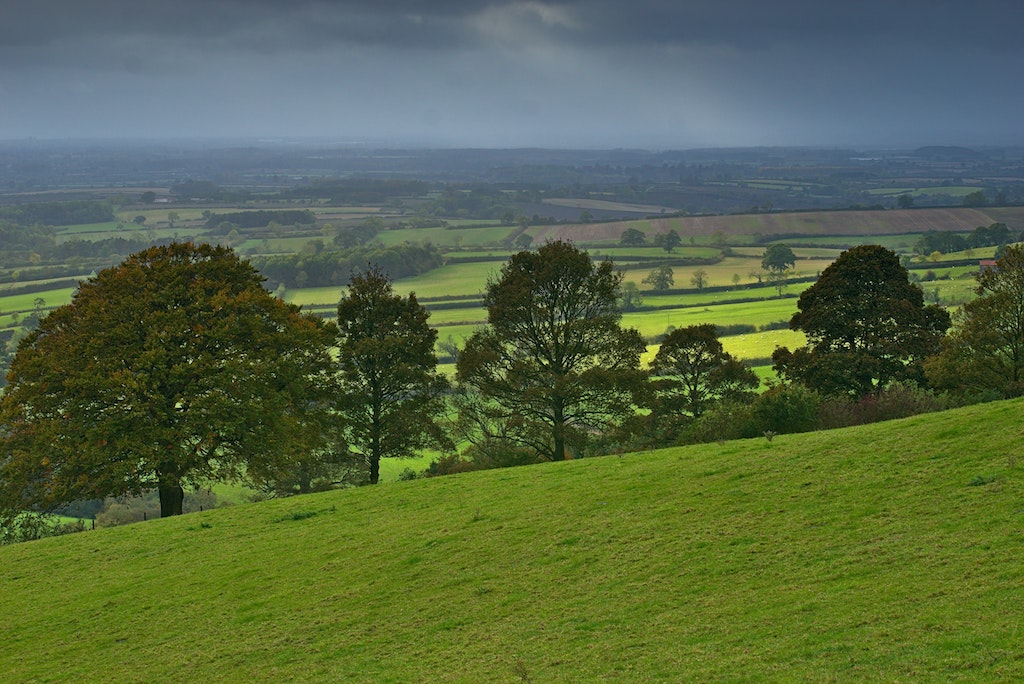 Building a long-term vision for the countryside – what can we take from #Rural2040?