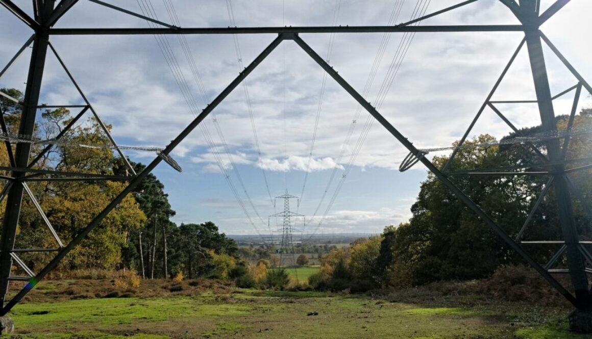 Underground or Overground –should we bury electricity cables?