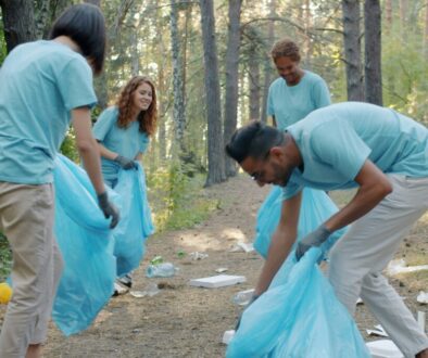 Work that works: is job quality improving in rural areas?