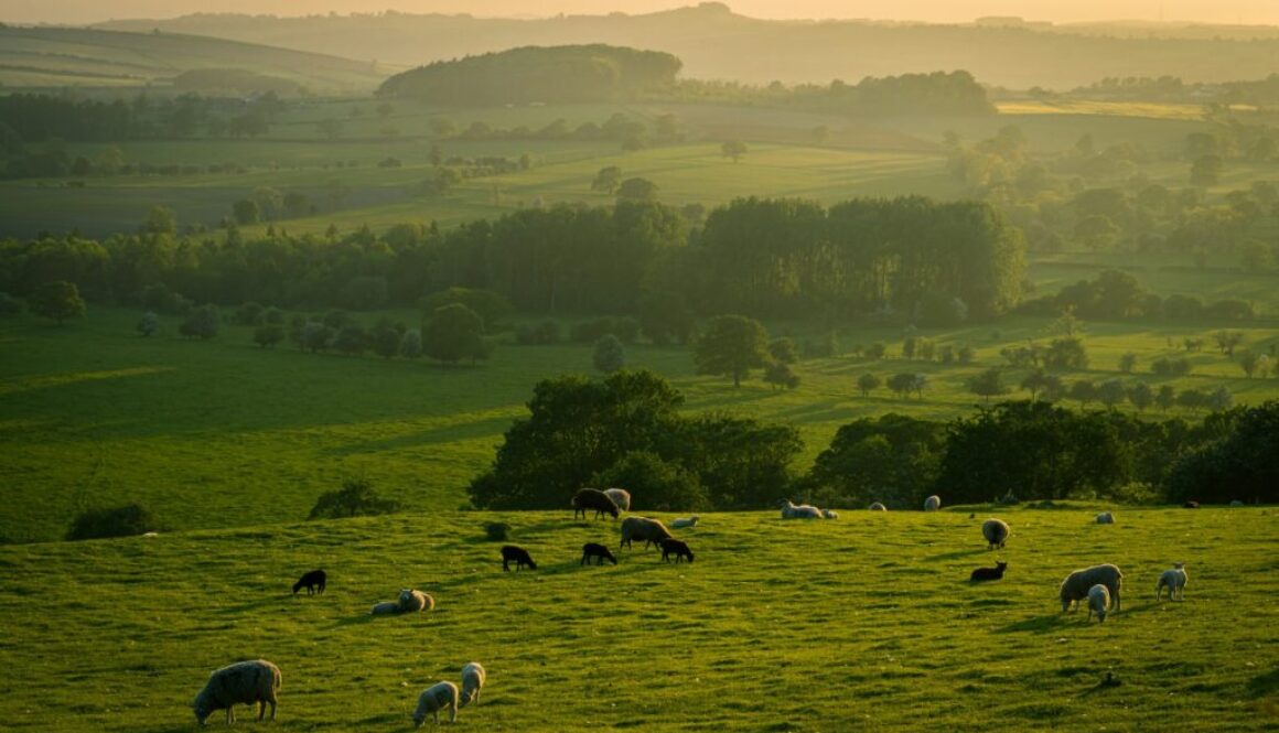 yorkshirenature How can Nature-based Solutions unlock new opportunities for rural areas?