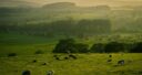 How can Nature-based Solutions unlock new opportunities for rural areas?   