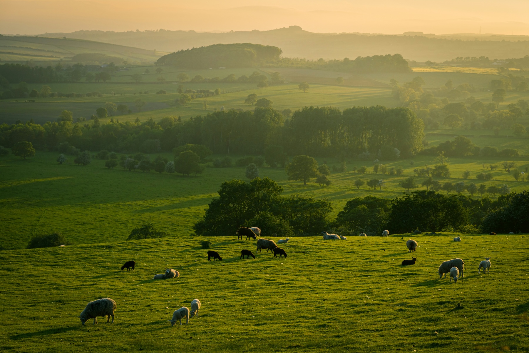 How can Nature-based Solutions unlock new opportunities for rural areas?   