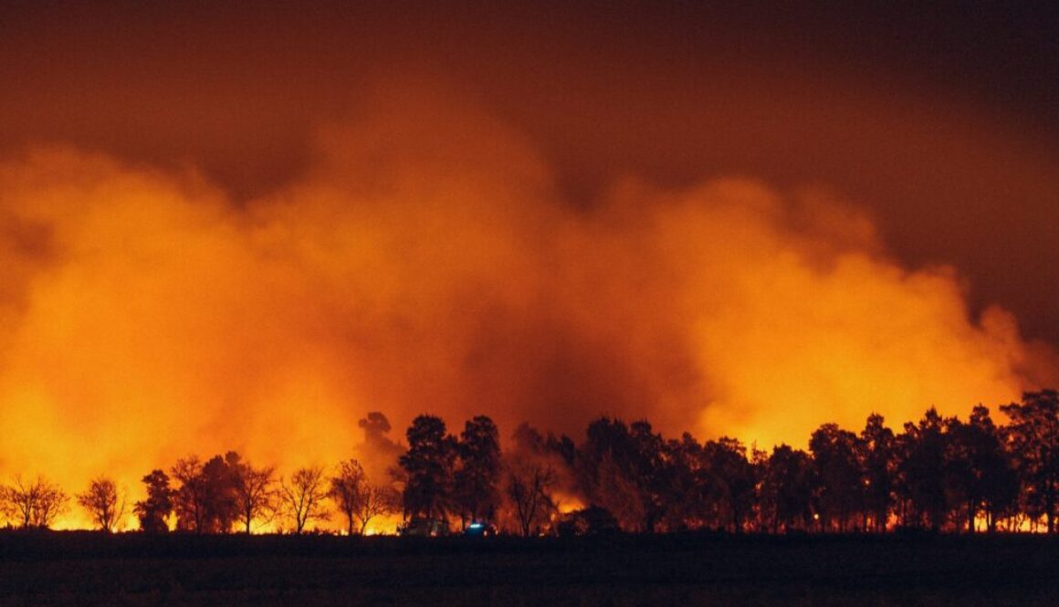 wildfire