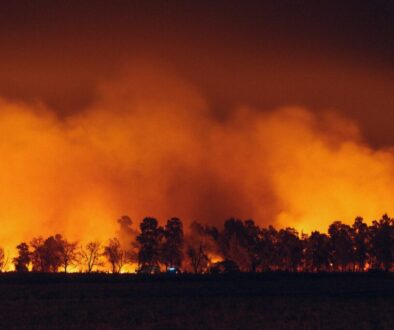 wildfire