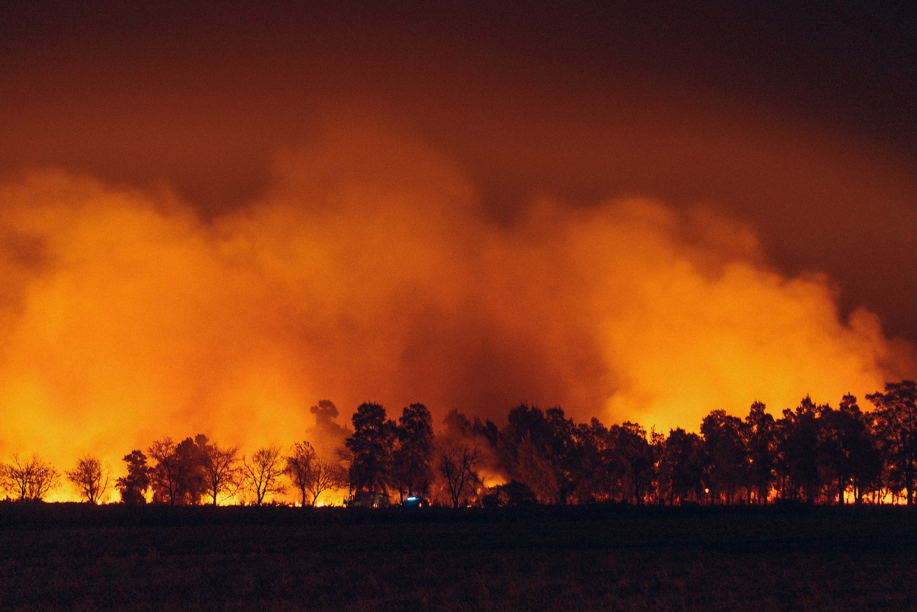 wildfire